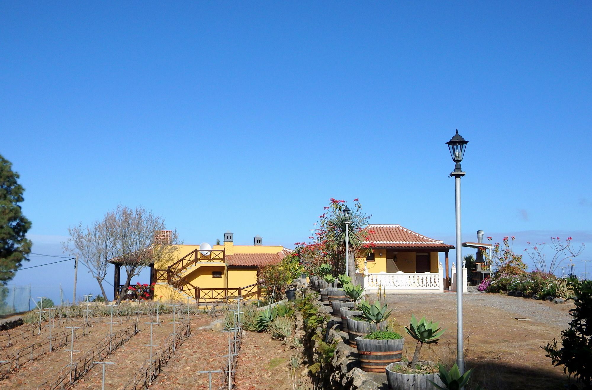 El Lagar Vila Icod De Los Vinos Exterior foto